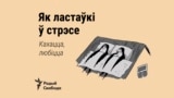 Выраз на штодзень: Як ластаўкі ў стрэсе